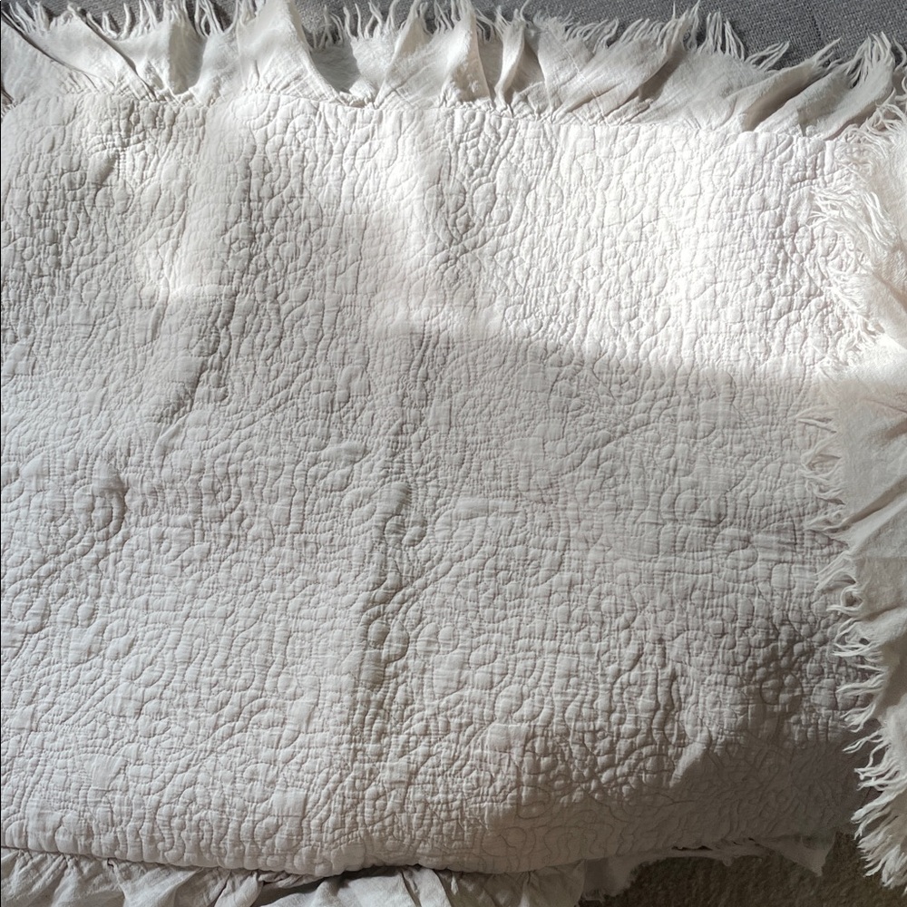 Treasure & Bond Elegant Taupe Quilted pillow shams - set of 2